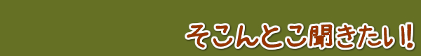そこんとこ聞きたい！